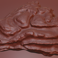 oyster-shell-vol.-8-image-7.png Oyster Shell Vol. 8 – High-Detail 3D Printable Model (STL, OBJ, 3MF)