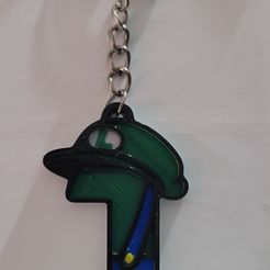 L1.jpg Number 1 Luigi (Mario Bros)