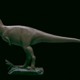R_004.png Bistahieversor sealeyi
