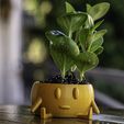 DSC_7029-edit.jpg Derp Pot: A Fun Planter pot! great for Succulents, Flowers and Small Plants. built in drainage