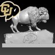 78.jpg NCAA - Colorado buffaloes football mascot statue - 3d Print