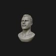 04.jpg Freddie Mercury 3D printable portrait