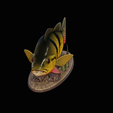 Peacock-Bass-statue-1-3-3.png FISH in motion Peacock bass (Cichla ocellaris) fish natural base detailed texture for 3d printing