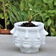 IMG_3509.jpg Polyface  PLANTER - PLANTER - POT