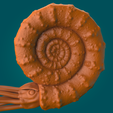 Amonite-Cámara 6.322.png Fichier STL Ammonite・Objet imprimable en 3D à télécharger