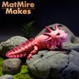MMM_Axolotl001.jpg Fichier STL Adorable Axolotl articulé, corps imprimé en place, tête encliquetable, mignon Flexi.・Modèle à télécharger et à imprimer en 3D, MatMire_Makes