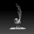 2342342.jpg colibri humming bird