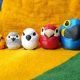 IMG_20260128_151652447.jpg Parrot Nesting Dolls