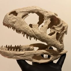Majungasaurus skull 3D Print - dinosaur