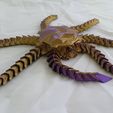 20220612_144236.jpg ARTICULATED ROBOT OCTOPUS print-in-place
