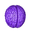 Brain Large.stl Craniumortis - No AMS / Multi-Part Bust