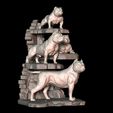 2.jpg American Bully Trophy