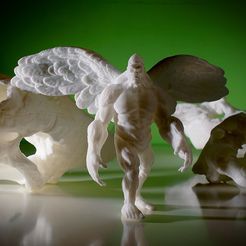 __DSC09106_-ok_s_display_large.jpg Free STL file Flying Yeti・3D print model to download