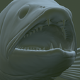 zander-head-trophy-37.png fish head trophy zander / pikeperch / Sander lucioperca open mouth statue detailed texture for 3d printing