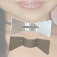 BDSM tie female male 02 v3-01.png BDSM bow tie elegant form slave servant female sex play story decoration bdsm-02 3d-print and cnc