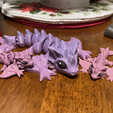 Bébé dragon Wyvern, mignon, articulé, facile à imprimer et à placer.