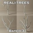 Realitrees_Batch_3_Cover_Photo.jpg Model Tree Batch 3-1 - Wargaming Tree for Your Tabletop