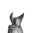 0013.jpg SPAWN FOR 3D PRINT FULL HEIGHT AND BUST