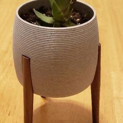 Planter.jpg Free 3D file Succulent Planter with Wooden Legs・3D printer model to download