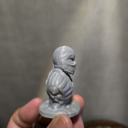 20260101_202538.jpg Бюст Sub Zero