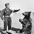 Wojtek_Photo.jpg DUST 1948 \ KONFLIKT '47 - WOJTEK -  MERCENARY BEAR