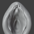 1.png Anatomical 3D Model of a Realistic Female Vagina - STL for 3D Printing