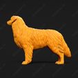 523-Australian_Shepherd_Dog_Pose_03.jpg Australian Shepherd Dog 3D Print Model Pose 03