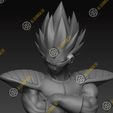 Vegeta1.jpg Vegeta (classic armor)