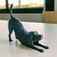 low_poly_dog_cleaned_02.jpeg Многоугольная собака