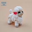 Pudlle_Img_Boxi3D_03.jpg POODLE - FLEXI - ARTICULATED - CUTE-PRINT IN PLACE
