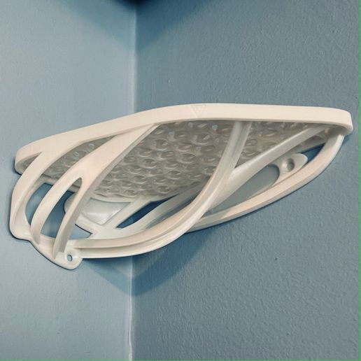 IMG_2354.jpg Corner Shelf 2021