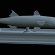 Barracuda-mouth-statue-31.png fish great barracuda / Sphyraena barracuda open mouth statue detailed texture for 3d printing