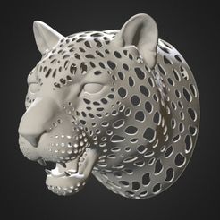 1212.jpg Leopard 3D PRINT