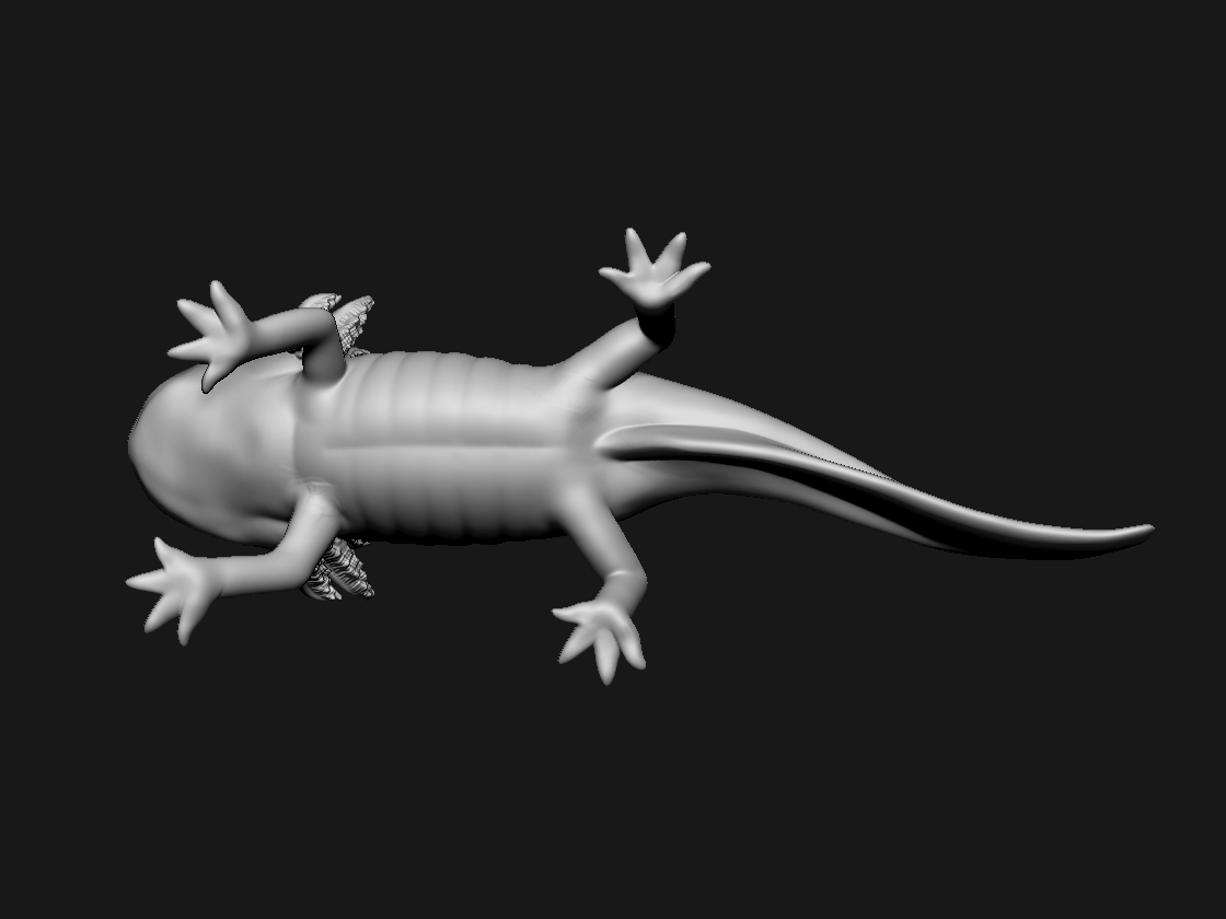 STL file Axolotl STL・3D printable model to download・Cults