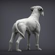 boxer5.jpg Boxer dog 3D print model