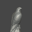 IMG_1268.png Fichier STL statue de faucon art animal・Modèle pour impression 3D à télécharger, ARTMANS