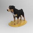untitled.390.jpg Mongrel Dog Borador