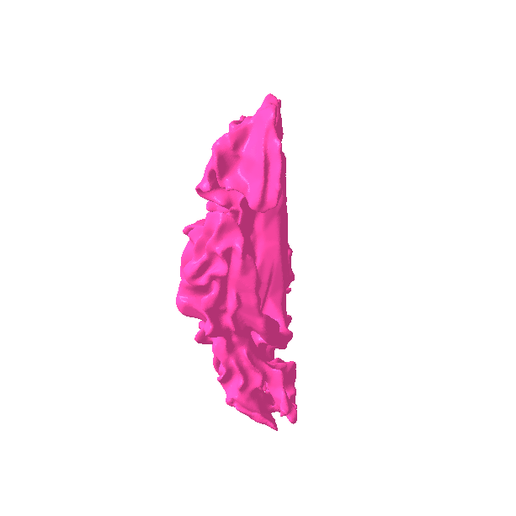 10.png White matter of right temporal lobe SEGMENTED