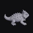 horned_lizard_0003.jpg Horned Lizard