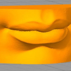 загруженное-1.png 3D model of David's Lips