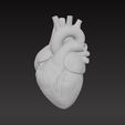 heart4.jpg heart