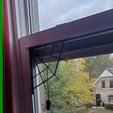 20231017_082934.jpg Spider door / Window  decor