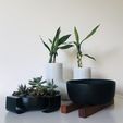 tempImage7pdQmp.jpg Succulent planter bowl - garden on your desk