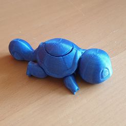 Squirtle Spinner - покемон с гибкой артикуляцией (печать на месте, без опор)