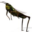 tt.jpg DOWNLOAD Grasshopper 3D MODEL - ANIMATED - INSECT Raptor Linheraptor MICRO BEE FLYING - POKÉMON - DRAGON - Grasshopper - OBJ - FBX - 3D PRINTING - 3D PROJECT - GAME READY-3DSMAX-C4D-MAYA-BLENDER-UNITY-UNREAL - DINOSAUR -