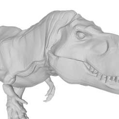 model.png Free STL file tyrannosaurus rex・Design to download and 3D print