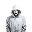 dcd3202ea7504dfffc1d60c95e58622d.jpg FIGURE ANONYMOUS