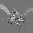 AntmanFlying.jpg MCP - Antman
