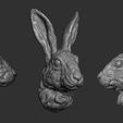 1.jpg Hare head