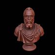 render_1.jpg Tycho Brahe Bust